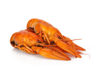 Three boiled crayfishes