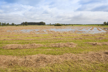 summer floods