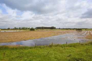 Fototapeta premium flooded summer hay fields
