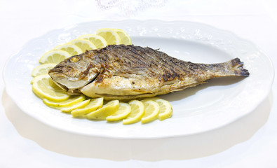 Grilled sea bream with lemon slices