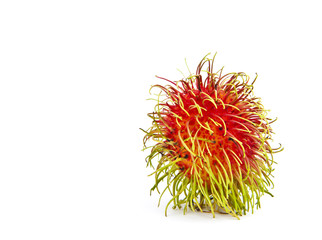 Rambutan