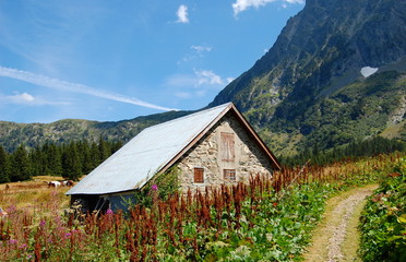 Fototapeta na wymiar Góry domy w Alpach francuskich