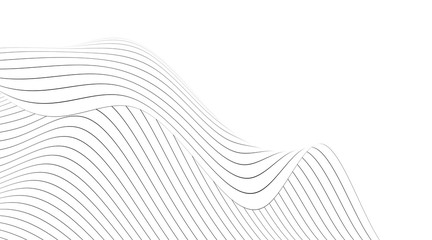 black and white stripes 