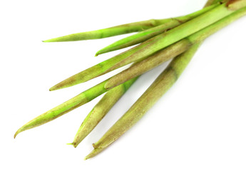 Fresh colocasia stem or kochur lati of Indian subcontinent