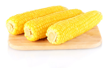 boiled corn isolated on white