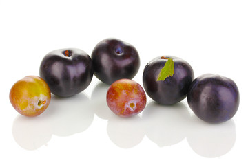 Rip plums isolated on white