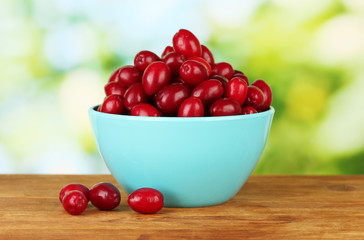 fresh cornel berries in blue bowl on green background close-up