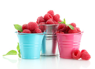 beautiful raspberries in buckets isolated on white