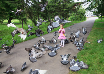 Little girl feeding pigeons.
