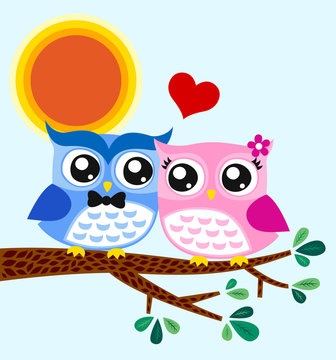 owls couple in love at tree
