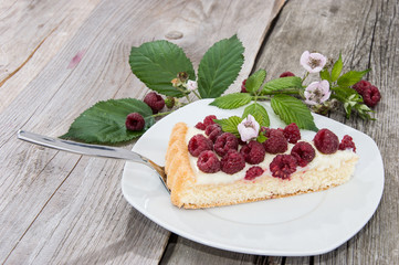 Raspberry Tart on a plate