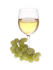 Glass of white wine