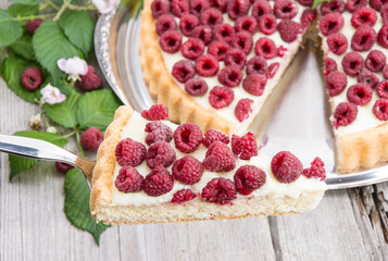 Cake lifter with Raspberry Tart