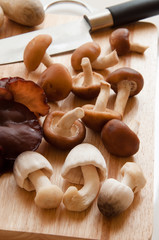 Mushrooms on a board