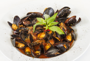 close up on mussels on white background