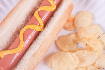 Hot Dog Extreme Closeup