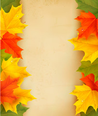 Autumn leaves with old paper  Back to school  Vector