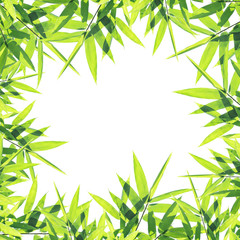 Bamboo leaves frame