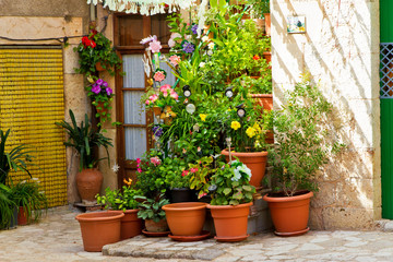 Grüner Innenhof in Valldemossa