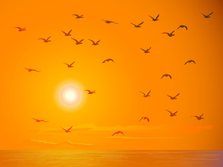 Naklejka premium Latające ptaki przed pomarańczowym zachodem słońca.