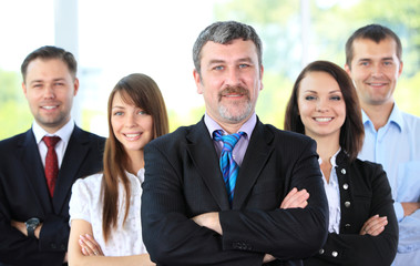 Group portrait of a professional business team