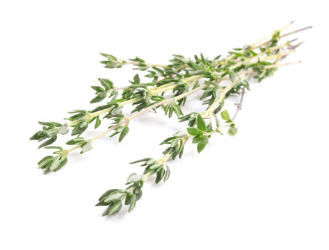 thyme bunch isolated on white