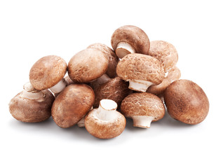 fresh mushroom champignons isolated on white