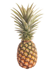 Fototapeta premium Pipeapple