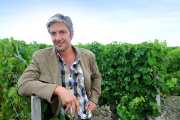 Winemaker standing in vineyard on harvesting season