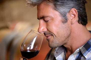 Closeup on winemaker smelling red wine in glass