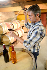 Winemaker getting sample of red wine from barrel