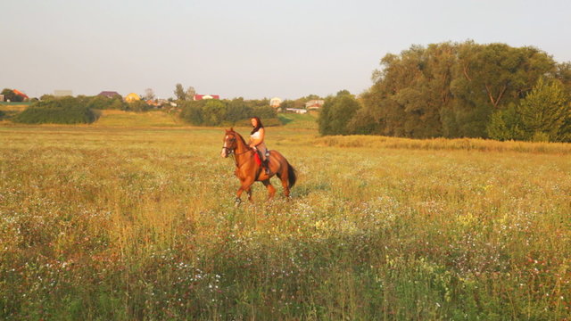 Beautiful girl riding a horse in countryside