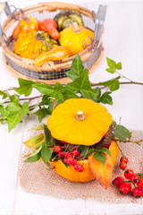 bunter Herbst