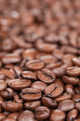 Kaffeebohnen mit Textfreiraum