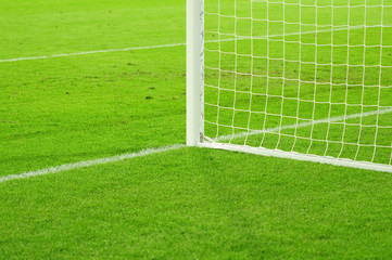 Goal Net