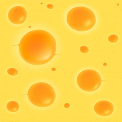 Cheese seamless pattern. Realistic vector