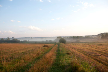 Fototapeta na wymiar mgła na polach