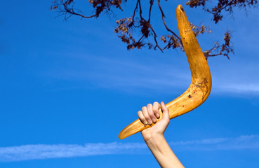 Boomerang in front of a blue sky - obrazy, fototapety, plakaty