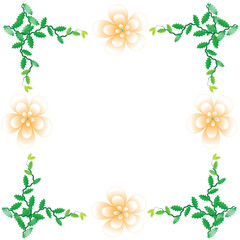 Flower of frame on white background