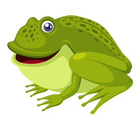 green frog isolated on white