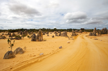 Deserto dei PInnacoli, Pinnacles Desert, Australia