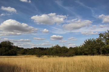 Fototapeta premium Himmelhoch