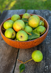 bowl with fresh pears