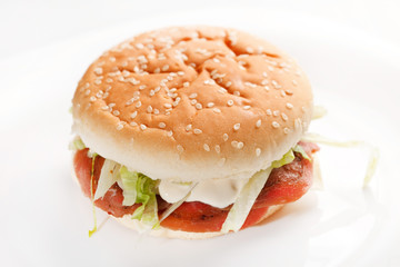 burger on the white