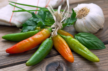 Spezie ed  erbe - Spices and herbs