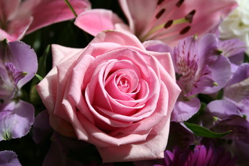Pink Rose in bouquet