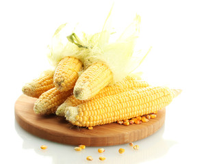 fresh corn on wooden cutting board, isolated on white