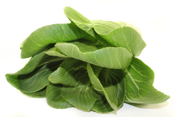 Pak choi