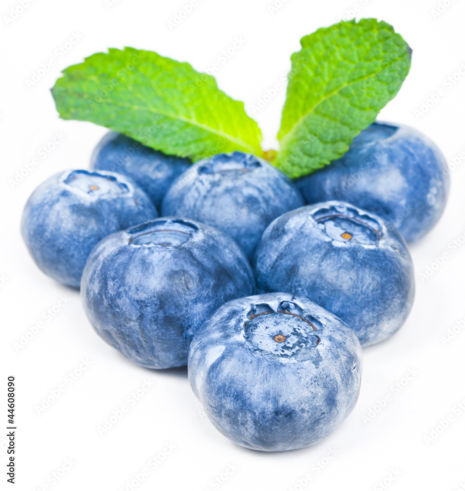 Sticker blueberries with green leaves on a white background