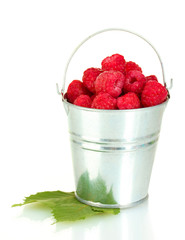 Fresh raspberries in silver bucket isolated on white